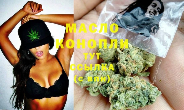 гашик Верея