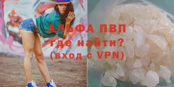гашик Верея